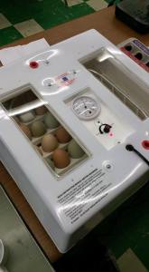 incubator