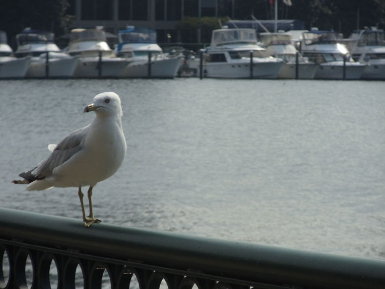 Featured Image -- 1506